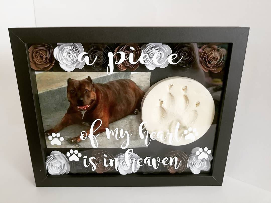 pet urn shadow box