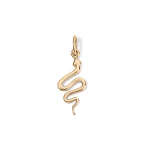 Pingente de cobra em ouro 14K, pingente de cobra em ouro maciço, pingente de cobra em ouro verdadeiro, pingente para uso diário em ouro maciço, presente de Natal, pingente para colar de cobra