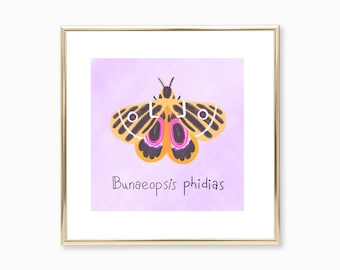 Moth Butterfly Illustration Print, Wall Art Prints, Fine Art Prints, Illustration Art, Wall Decor, Whimsical Art, Child Art, Folk Art Gifts