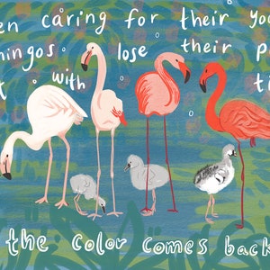Flamingo Mothers Card, Postpartum Encouragement Card, Support for Moms and Dads, Flamingo Pink image 2