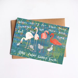 Tarjeta de madres flamencos, tarjeta de estímulo posparto, apoyo para mamás y papás, rosa flamenco
