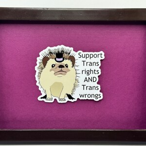 TRANS RIGHTS! Hedgehog Sticker