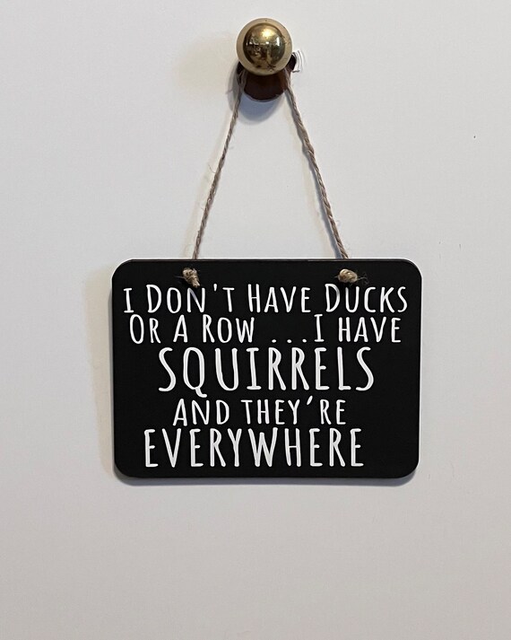 I don't have ducks or a row I have squirrels and they are everywhere. Wood, Hand Painted, Vinyl Lettering, Fun sign. 6.5" x 4.5".
