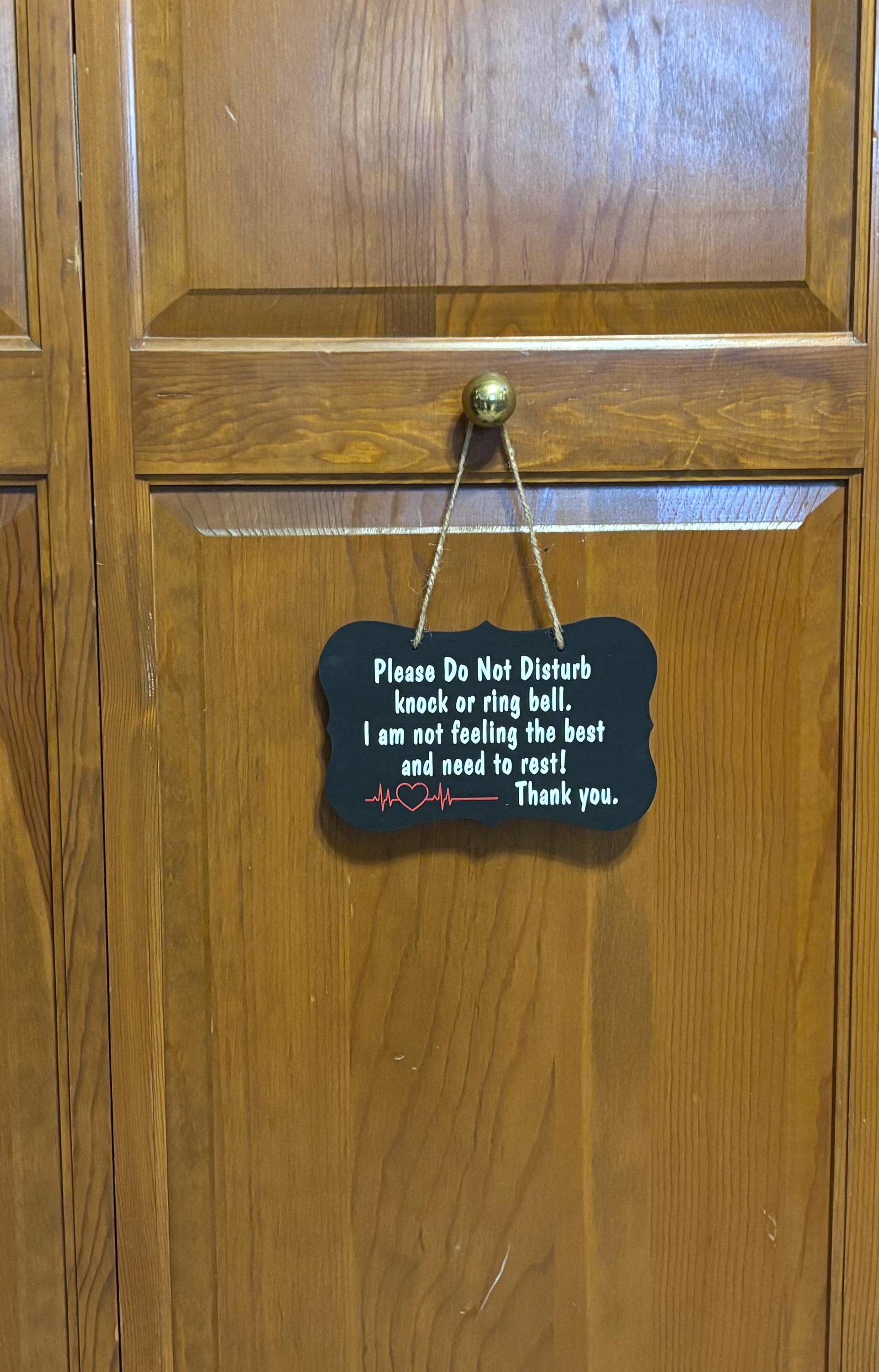 Hand Painted Wood Door Hanger, Do Not Disturb Sign, Vinyl