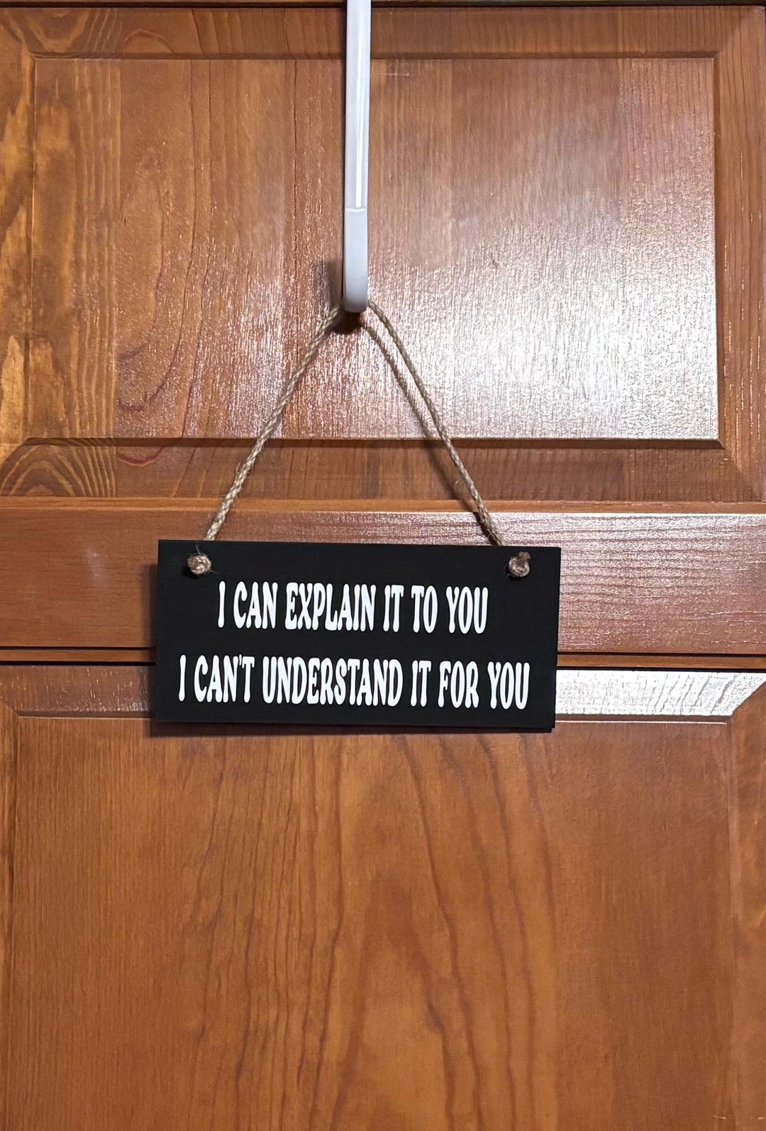 I Can Explain It to You Wood Sign, Classroom Decor, Sarcastic Office ...