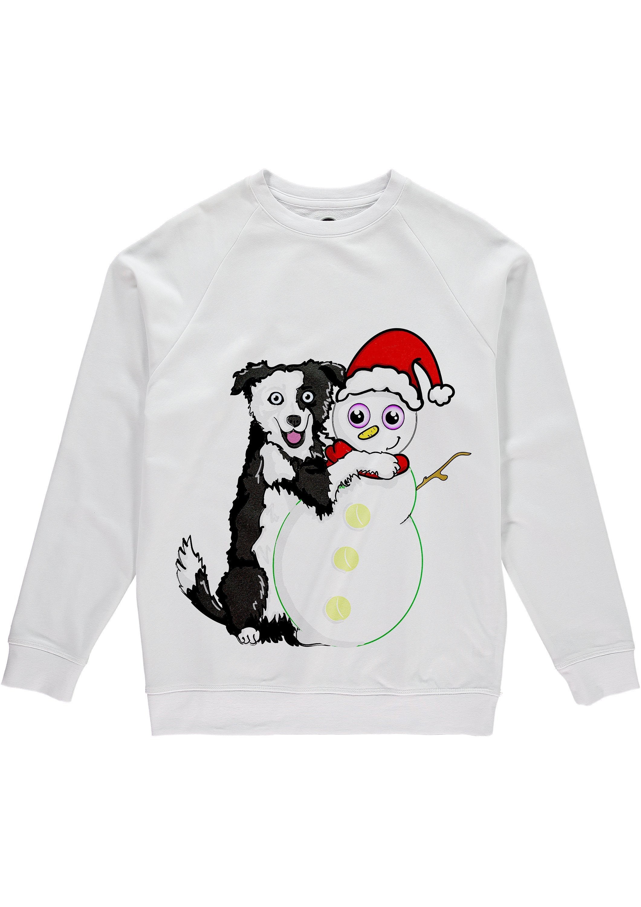 border collie jumper