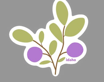 Huckleberry Aufkleber Idaho State Fruit - Langlebiger wasserdichter Laptop-, Wasserflaschenaufkleber
