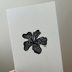 Puede incluir: Un grabado en lin&oacute;leo en blanco y negro de una flor de cinco p&eacute;talos sobre papel crema. La flor es el punto focal, con una apariencia texturizada. La firma del artista est&aacute; en la esquina inferior derecha. La impresi&oacute;n es sobre papel crema.