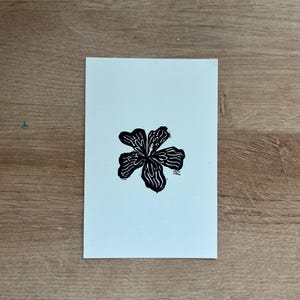 Puede incluir: Un grabado en lin&oacute;leo en blanco y negro de una flor con cinco p&eacute;talos. La flor est&aacute; centrada en un papel verde azulado claro. La impresi&oacute;n est&aacute; sobre una superficie de madera.
