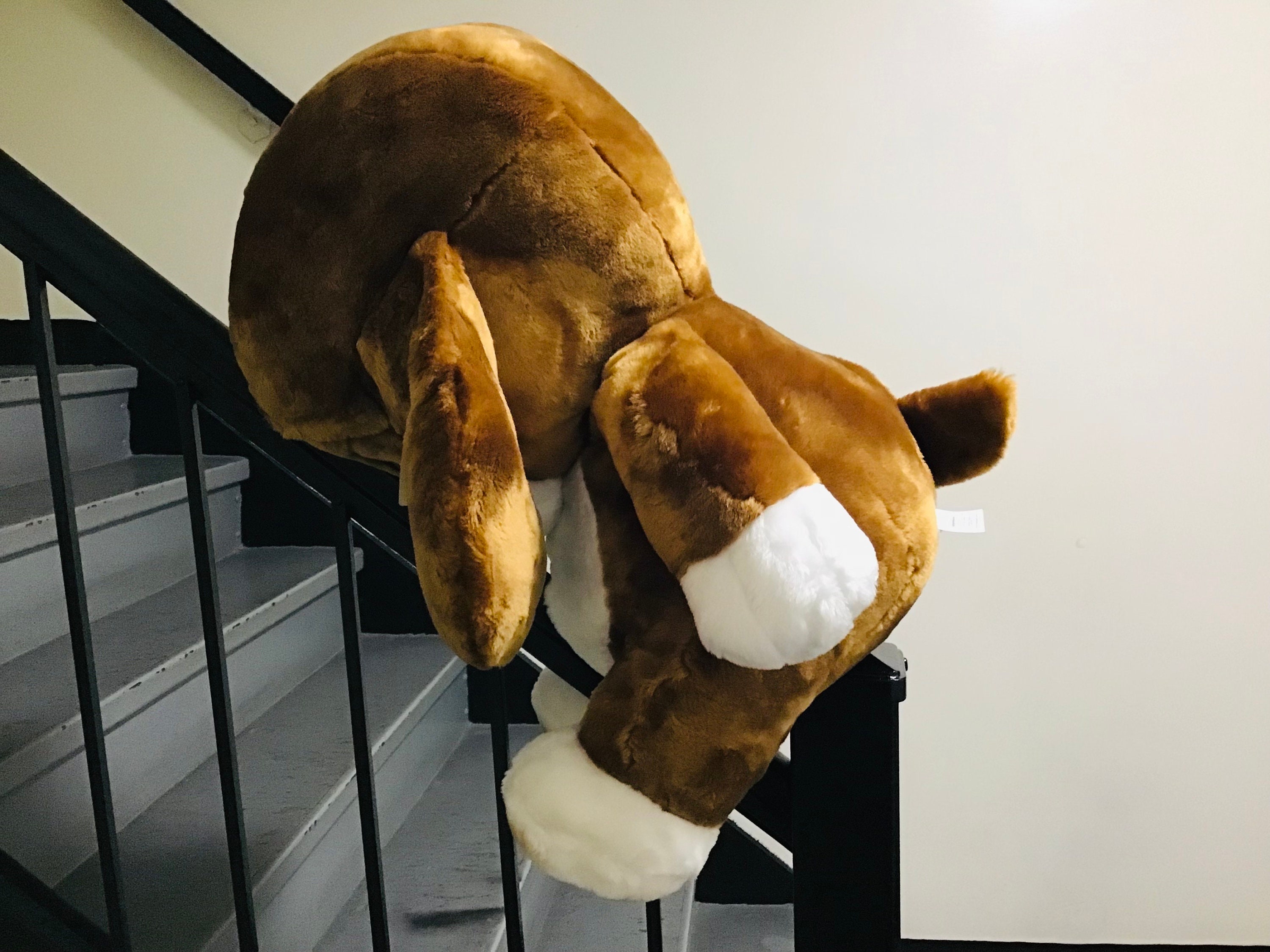 ✰•SadSam&Honey•犬ぬいぐるみ✰｜Sad sam - Etsy 日本