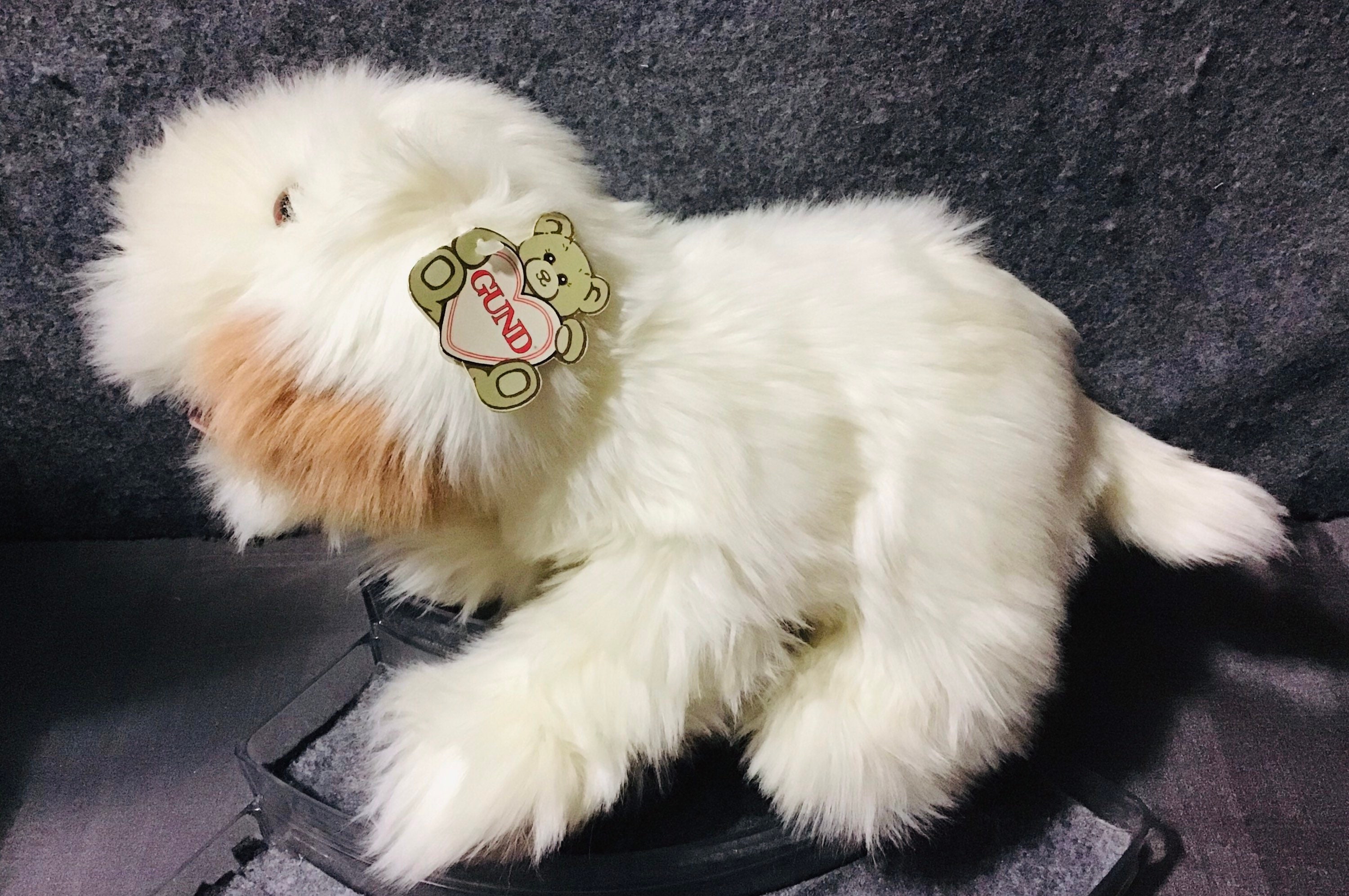 GUND My Name is Flash 1518 Puppy Dog Stuffed Plush Toy Animal - Etsy Singapore GUND My Name is Flash 1518 Puppy Dog Stuffed Plush Toy Animal - Etsy Singapore