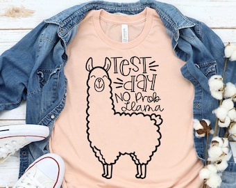 Test Day Shirt For Teachers - Staar Testing Shirt & Counselor Shirt - Test Day No Prob Llama Shirt - Teacher Team Shirt For Staar Test