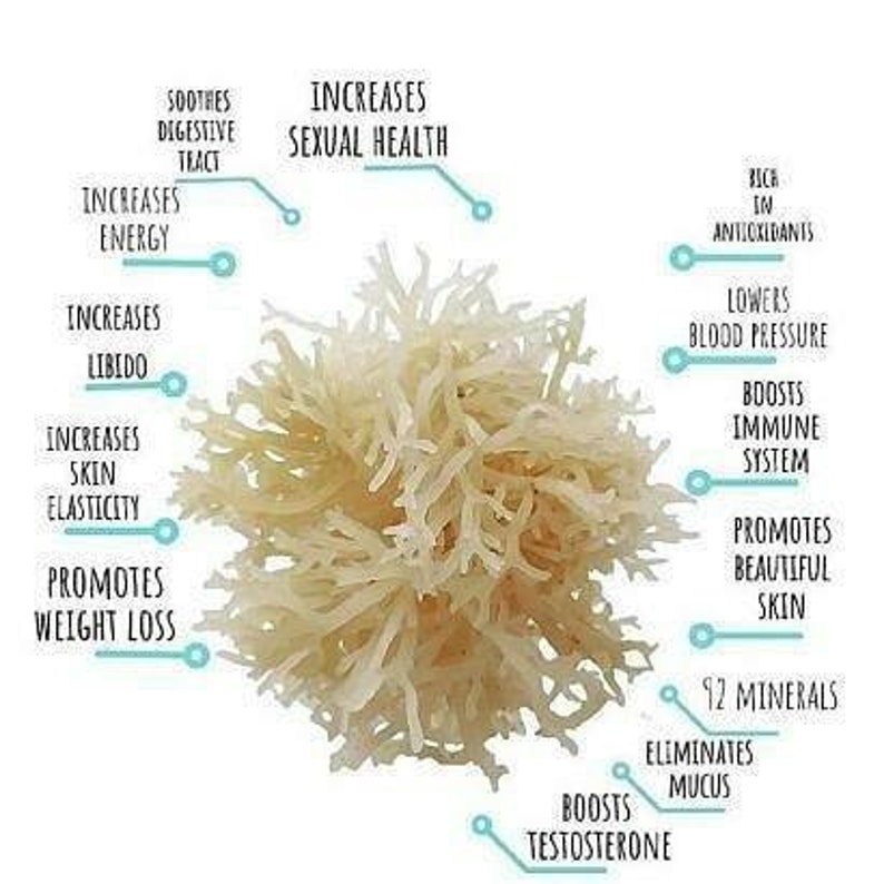 Fruit Infused Sea Moss Gel Etsy