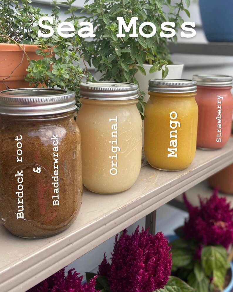 Fruit Infused Sea moss Gel Etsy