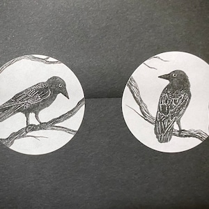 May include: Two black and white illustrations of crows perched on branches. The crows are drawn in a simple, stylized manner.