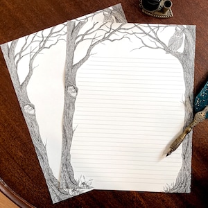 Owl stationery, 11 x 8.5” letter writing sheets, letter sized, lined or unlined, black and white, cottagecore, 12 pages, letter set