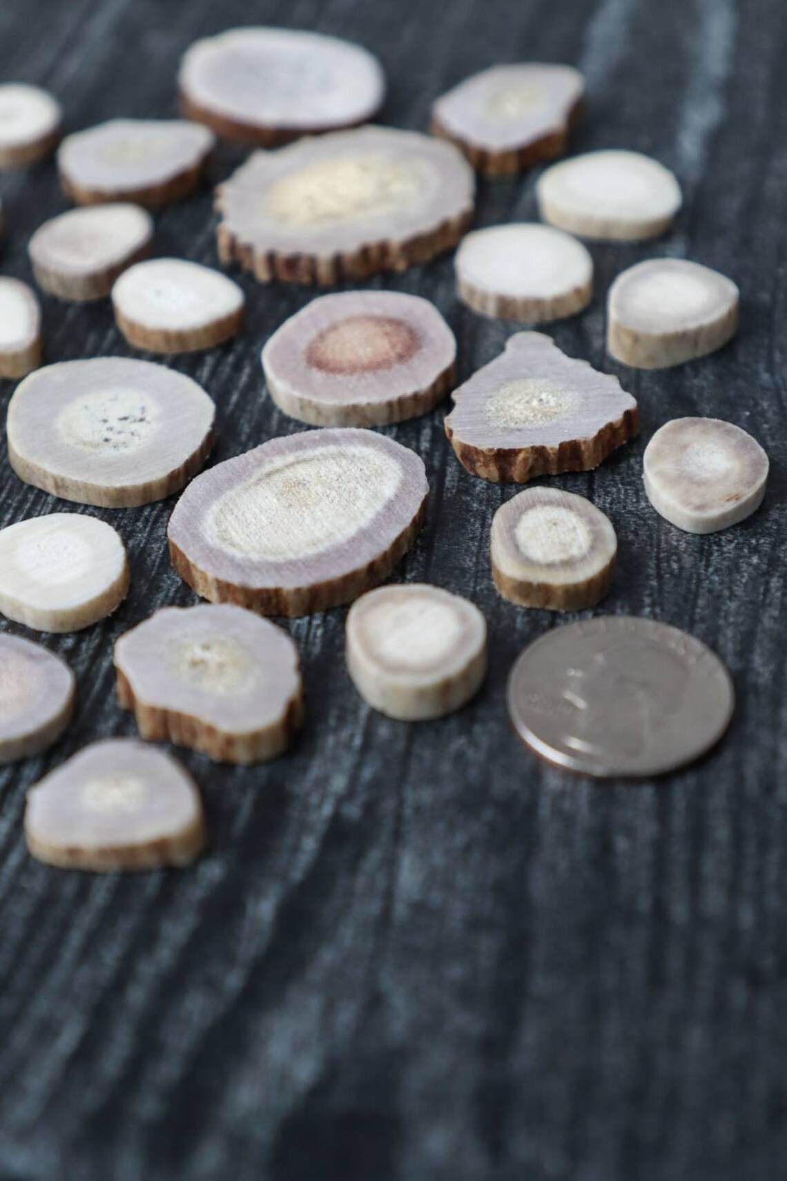 Elk/deer Antler Wafers for Necklaces and Jewelry Naturally Etsy