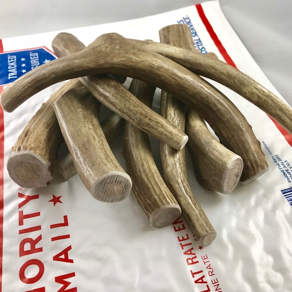 Elk Antler Etsy