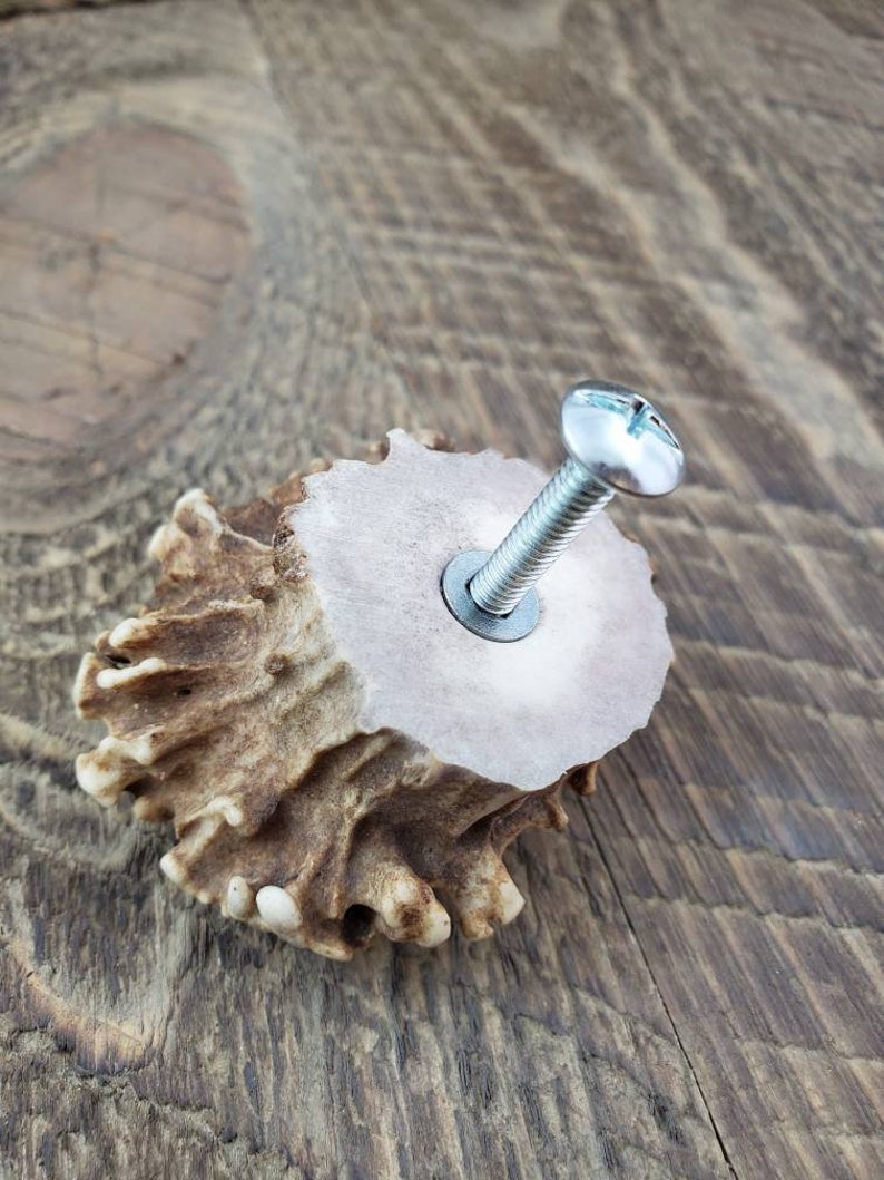 Deer Antler Knob/Drawer Pull | Etsy
