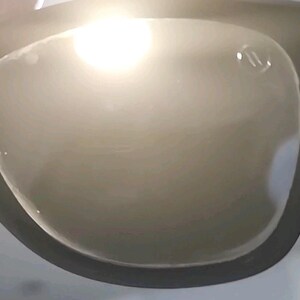 Blenders Waterhaven Black Oval Blue Polarized Sunglasses image 9