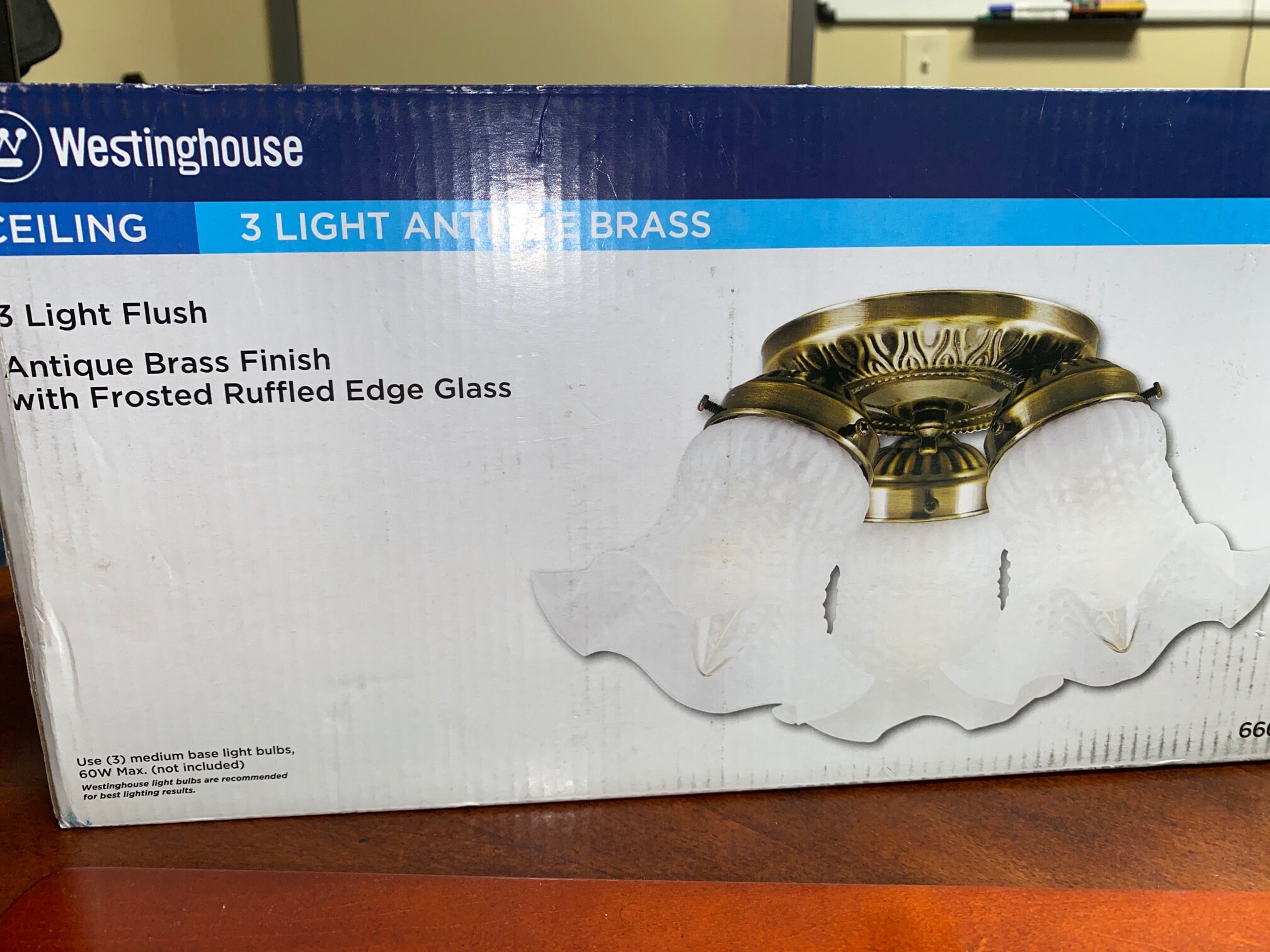 Westinghouse Accesorios interiores de techo de montaje | Etsy