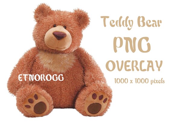 transparent cover for teddy bear