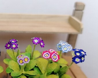 Flor de Primula Auricula en miniatura en la caja 1:12 casa de muñecas jardín de gatos de hadas escala de 1 pulgada