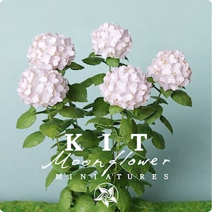 Bausatz Blass rosa Hortensie, Puppenhaus Miniaturgarten Blumenladen, Maßstab 1:12, DIY