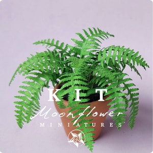 Miniature Kit 1:12 Haus Farn Grasgrün Gartenblumenladen, DIY Märchen, Puppenhaus