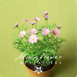 KIT Cosmos (Pale Pink) Miniatur-Blumengarten-Blumenset, Maßstab 1:12, DIY