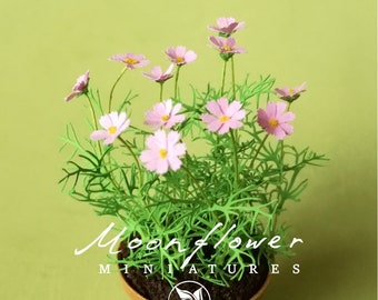 KIT Cosmos (Pale Pink) Miniatur-Blumengarten-Blumenset, Maßstab 1:12, DIY