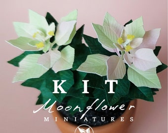 Miniature KIT Pink-Green Poinsettia flower plant Christmas garden flower, scale 1:12, DIY