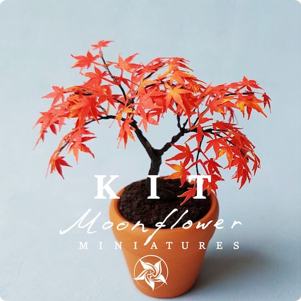 KIT Miniatuur #3 Maple tree bonsai kleurentuin poppenhuis bloemenset, schaal 1:12, doe-het-zelf