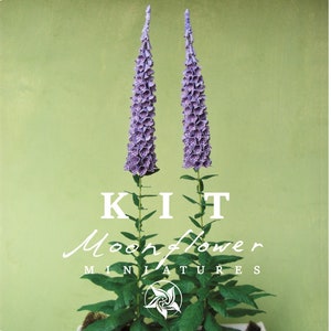 Bausatz violette Fingerhüte, Puppenhaus Miniaturgarten Blumenladen, Maßstab 1:12, DIY