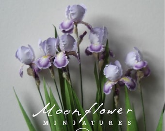 Miniatura 7x Conjuración flores de iris barbudo 1:12 casa de muñecas jardín de gatos de hadas