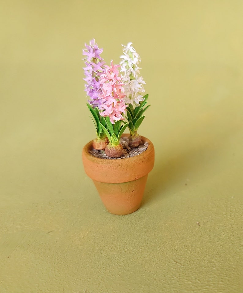 Fleur de jacinthe miniature dans un pot en terre cuite maison de poupée féerique jardin de chats de maison de poupée à l'échelle 1 po. image 6