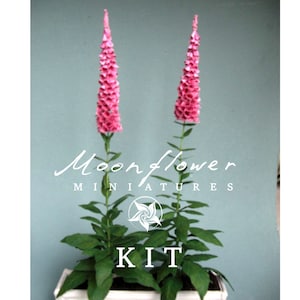 Kit rose Foxgloves maison de poupée Magasin de fleurs de jardin miniature, échelle 1:12, DIY image 1