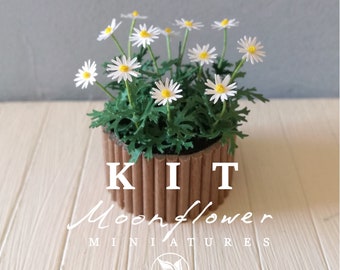 KIT Marguerite daisy flower, Miniature garden dollhouse kit, scale 1:12,  DIY