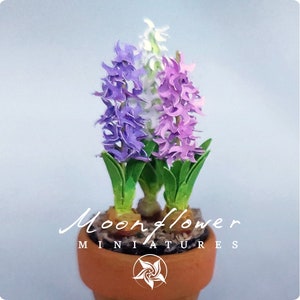 Fleur de jacinthe miniature dans un pot en terre cuite maison de poupée féerique jardin de chats de maison de poupée à l'échelle 1 po. VARIANT B: 3 FLOWERS