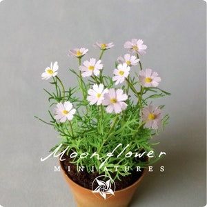 KIT Cosmos flower White, Miniature garden dollhouse kit, scale 1:12,  DIY