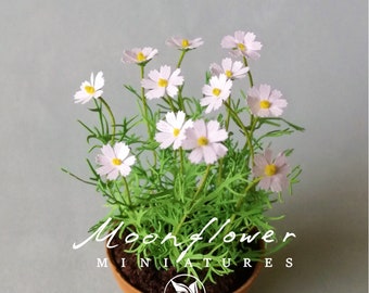 KIT Cosmos flor Blanco, Kit casa de muñecas jardín miniatura, escala 1:12, DIY