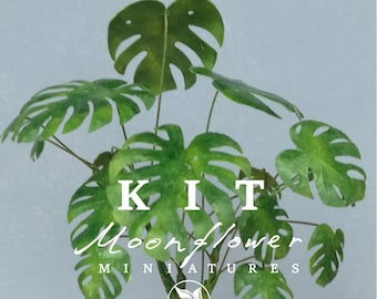 Kit de fleurs miniatures 1:12 Monstera Palm Tree, magasin de fleurs de jardin, jardin féerique DIY