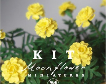KIT Marigold YELLOW Miniature garden dollhouse flower kit, scale 1:12, DIY
