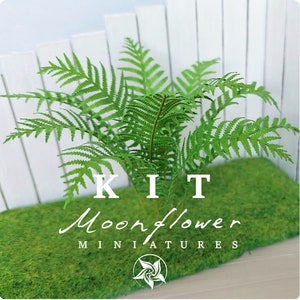 May include: A miniature fern plant with vibrant green fronds, set against a backdrop of a white picket fence. The plant sits on a bed of green moss. The text "KIT Moonflower MINIATURES" is displayed in white.