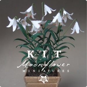 Bausatz White Heaven LILY Ostern, Puppenhaus Miniaturgarten Blumenladen, Maßstab 1:12, DIY