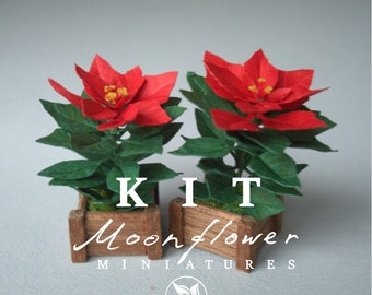 Miniature KIT Poinsettia flower plant Christmas garden flower, scale 1:12, DIY