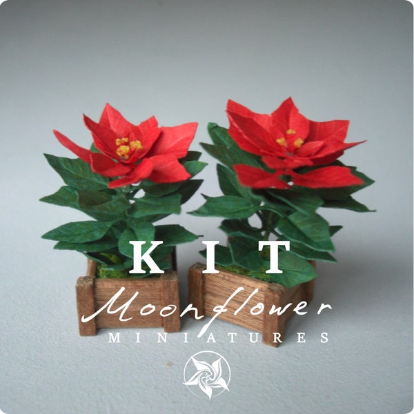 KIT en miniatura Planta de flor de Pascua Flor de jardín de Navidad, escala 1:12, bricolaje