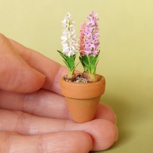 Miniature Hyacinth flower in the terracotta pot 1:12 dollshouse fairy cat garden 1 inch scale 画像 8