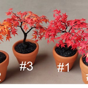 KIT Miniature #3 Maple Tree Bonsai Color Garden Dollhouse Flower Kit ...