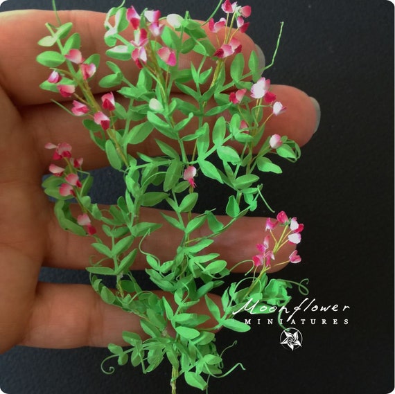 Miniature 1x Pink climbing Sweet Peas plant 1:12 dollshouse flower fairy garden Miniature 1x Pink climbing Sweet Peas plant 1:12 dollshouse flower fairy garden